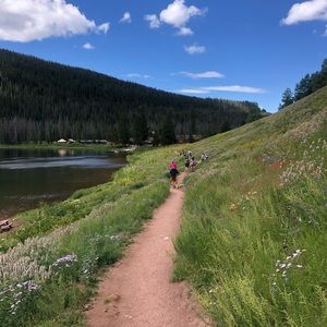 Meet your Posher, Leighton